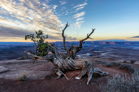 Utah