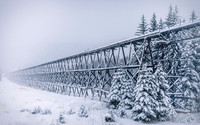 Colorado
