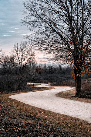The patway