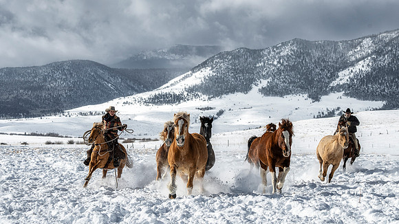 chasing a horses