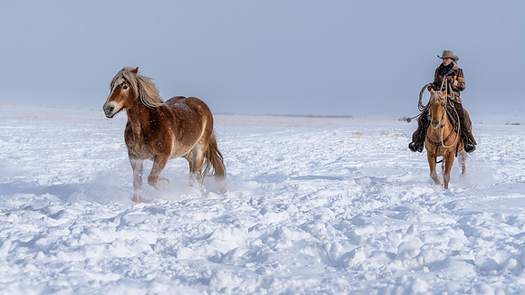 Chasing a horse