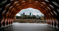 Chicago-Lincoln park