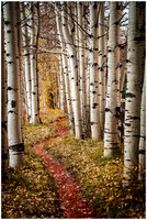 path