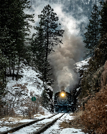 Winter train