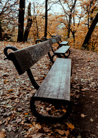 three benches..